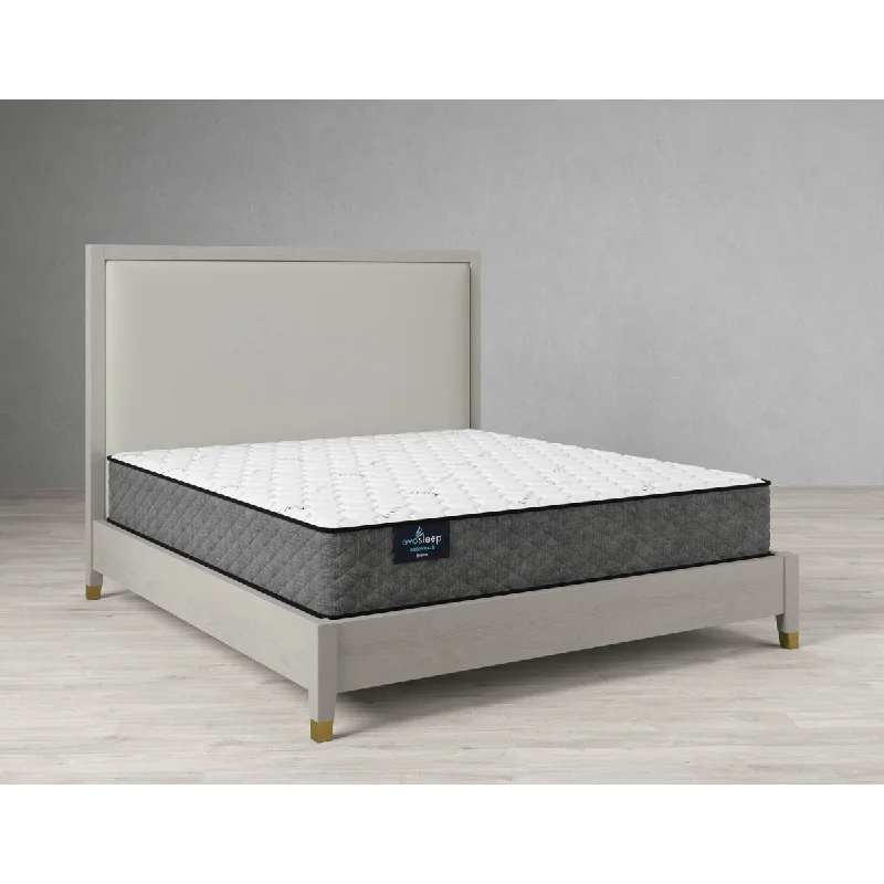 Queen - size mattresses for couples and standard bedroomsSherwood Bristow Firm 12" Mattress