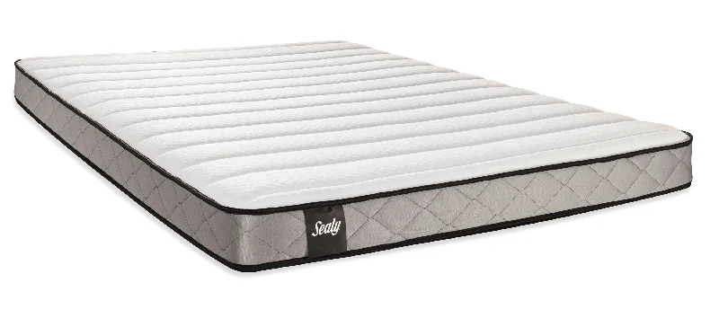 Polyester - foam mattresses for budget - friendly optionsSealy Fog Firm Twin Mattress