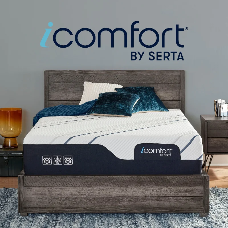 Polyester - foam mattresses for budget - friendly optionsCLOSEOUT - Serta iComfort CF3000 Medium 12" Mattress