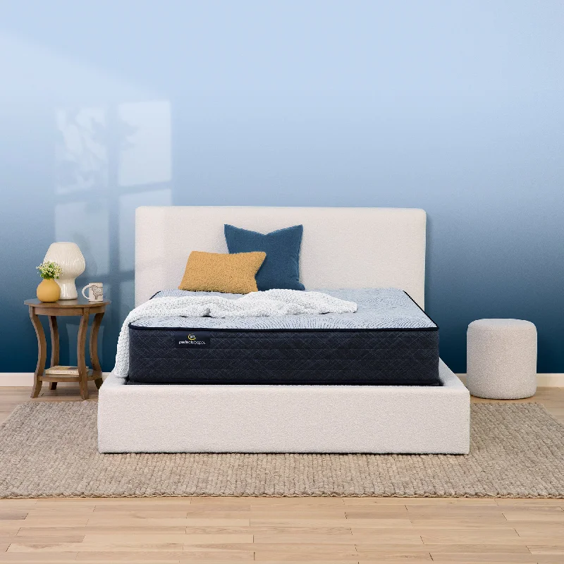 Polyester - foam mattresses for budget - friendly optionsSerta Perfect Sleeper Cardona Firm Tight Top 12" Mattress