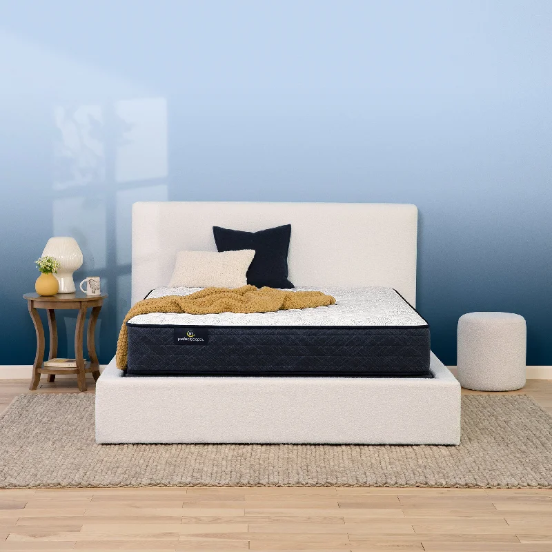 Queen - size mattresses for couples and standard bedroomsSerta Perfect Sleeper Adoring Night Firm Tight Top 10.5" Mattress